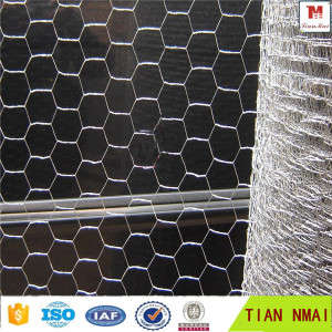 Galvanized Hexagonal Wire Mesh From Anping Tian Mai Factory